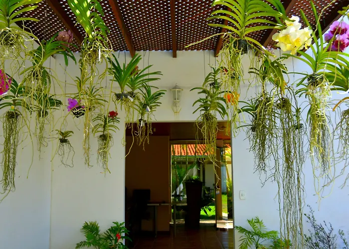 Pousada Lua e MarPousada